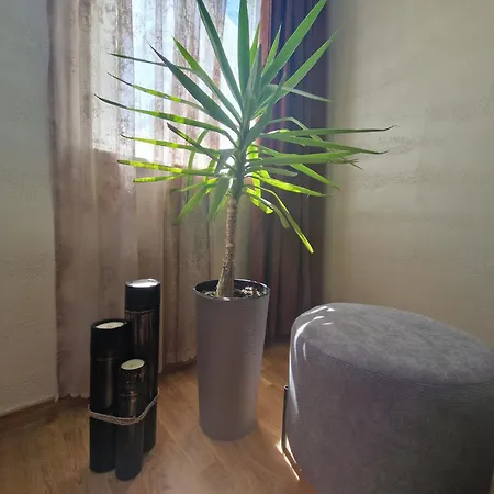 Apartment Djuric Grey