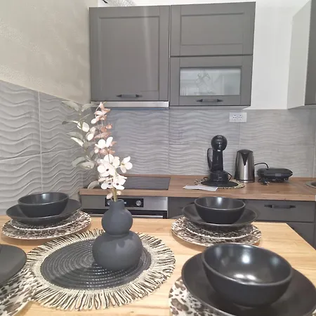 Apartment Djuric Grey