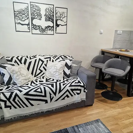 Djuric Grey Apartment *