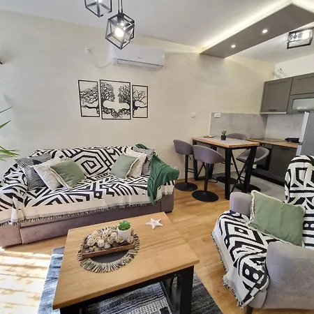 Apartment Djuric Grey Subotica
